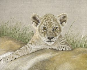 Kruger Cub