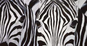 Stripes