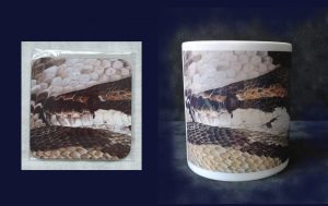 Python Regis Mug and Coaster Set