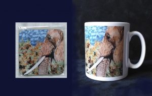 Samburu Matriarch Mug and Coaster Set