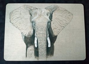 Coming Through Place Mat