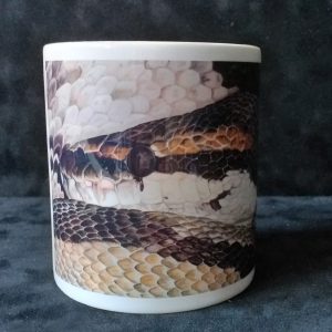 Python Regis Mug