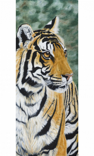 Tiger 2