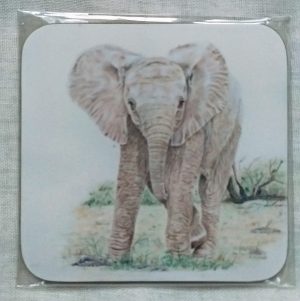 African Baby Coaster