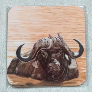 Cape Buffalo Coaster