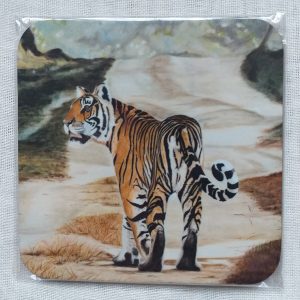 Indian Princess Coaster