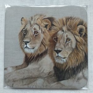 Khwai Brothers Coaster