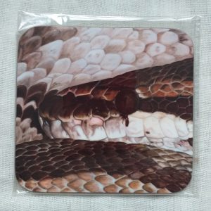 Python Regis Coaster