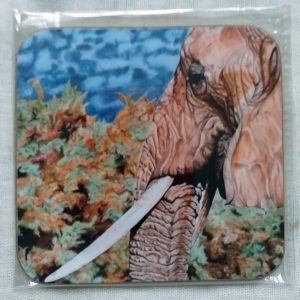 Samburu Matriarch Coaster