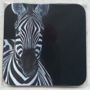 Zebra Portrait Coaster