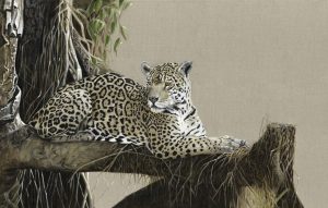 Panatal Jaguar
