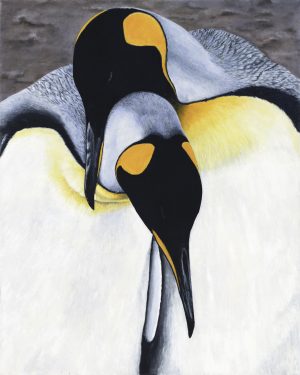 King Penguin