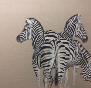 Zebra Trio